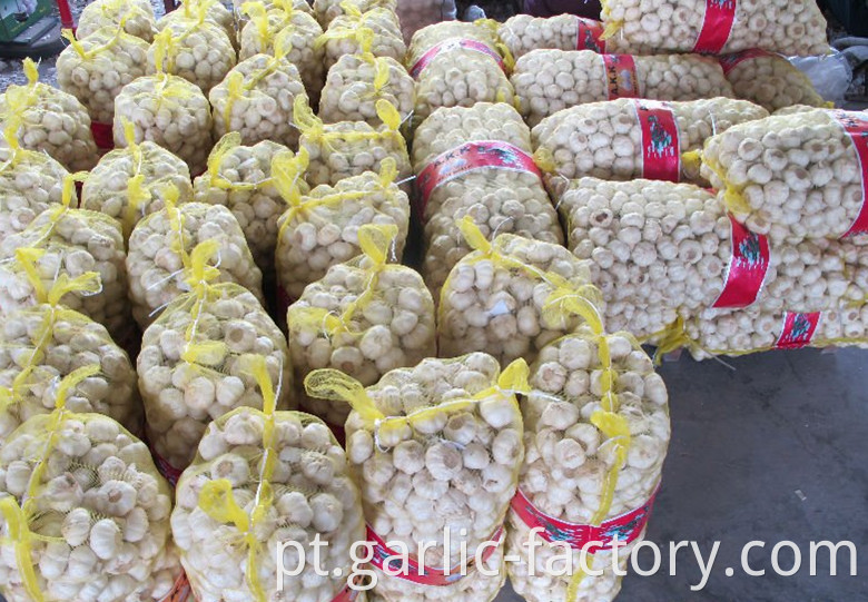 Specially customized small package garlic